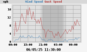 wind