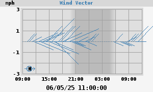 Wind Vector